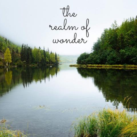 The Realm of Wonder - 7/13/18