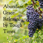 Abundant Grace Released by Tough Times - 12/4/22