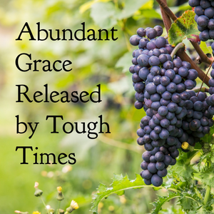 Abundant Grace Released by Tough Times - 12/4/22