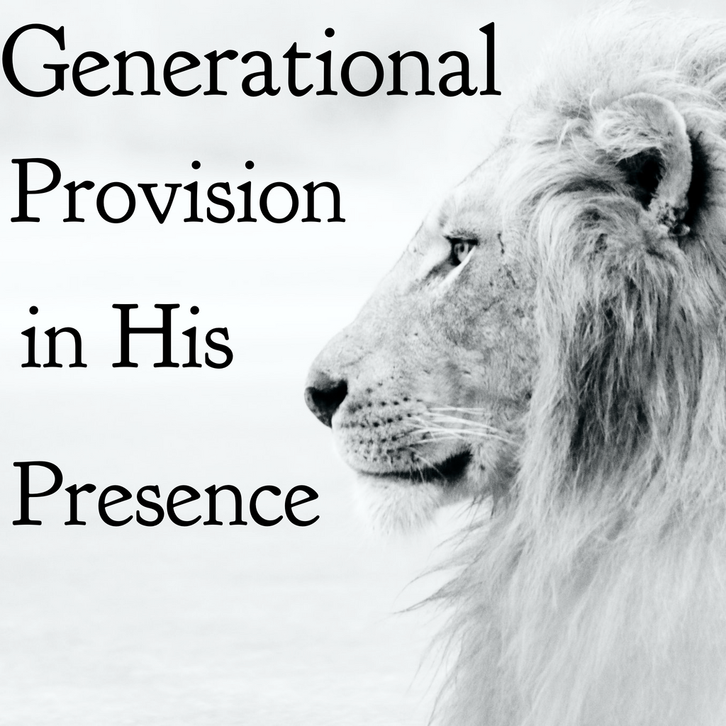Generational Provision in His Presence (Prophetic Word & Ministry with Bill Weinkauff) - 10/25/20