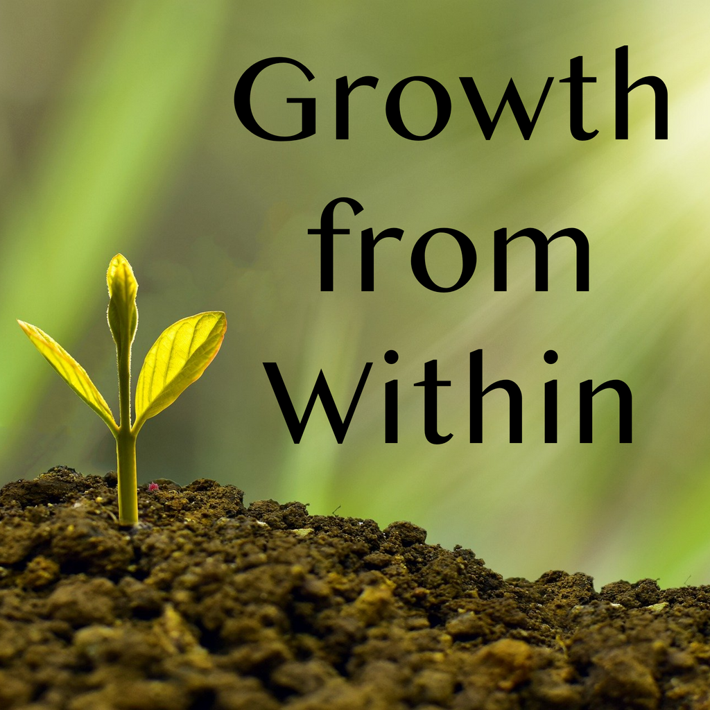 Growth from Within - 9/20/20