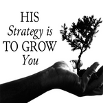 His Strategy is to Grow You - 3/12/23