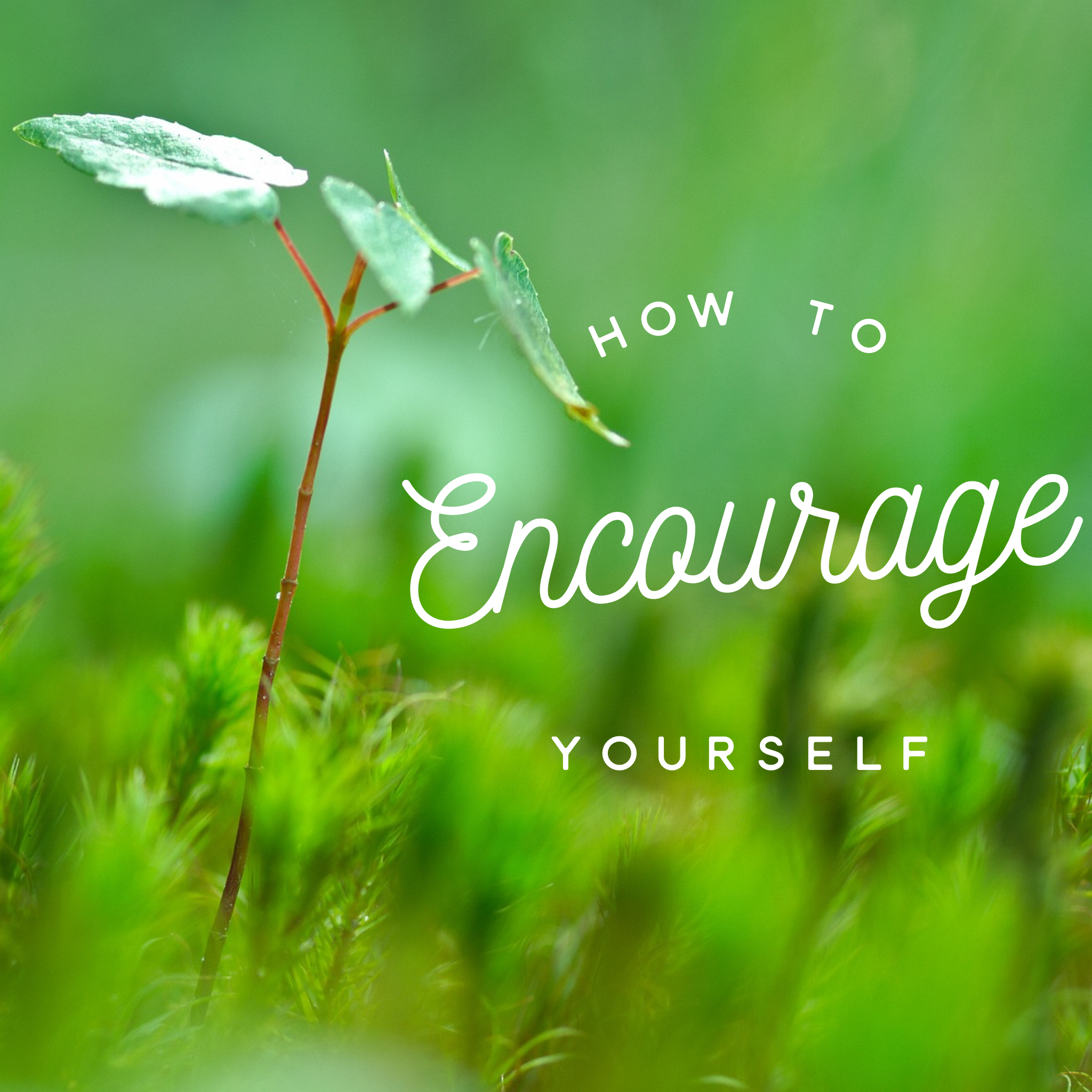 How to Encourage Yourself - 2/18/20