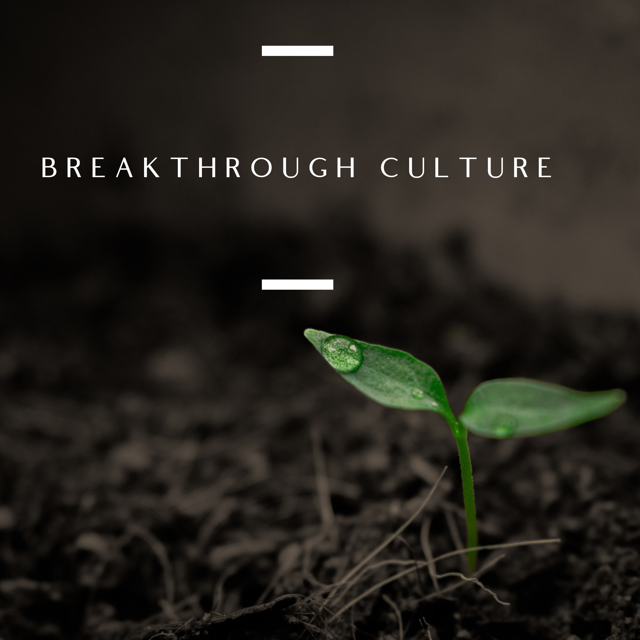 Breakthrough Culture