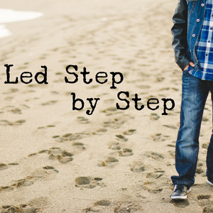 Led Step by Step - 10/11/19