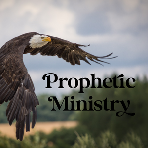 Prophetic Ministry - 12/2/22