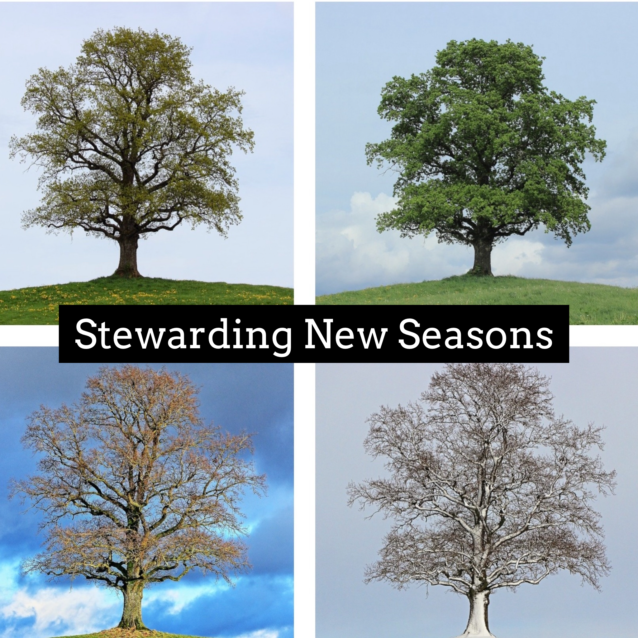 Stewarding New Seasons - 11/14/21