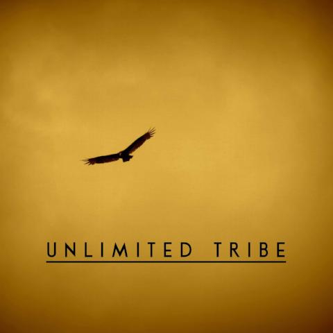Unlimited Tribe - 6/29/18