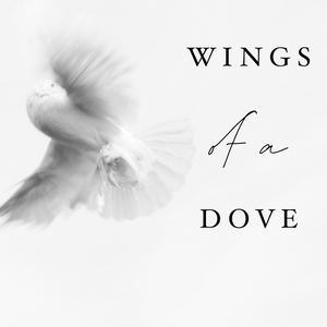 Wings of a Dove - 2/11/20