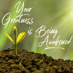 Your Greatness is Being Awakened - 8/16/20