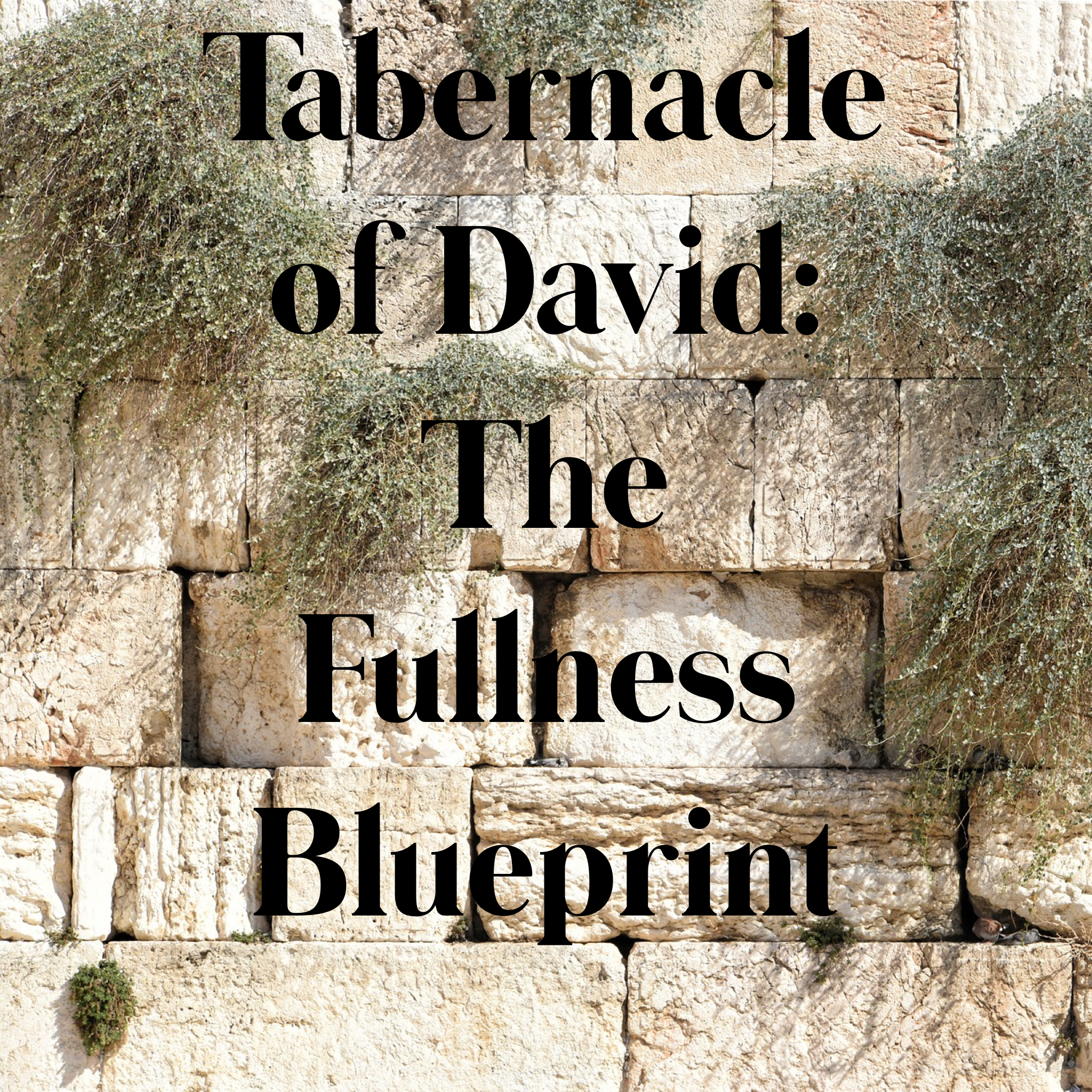 Tabernacle of David: The Fullness Blueprint - 5/14/19