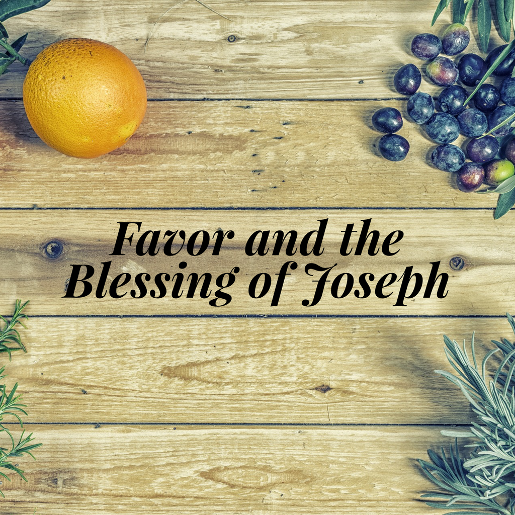 Favor and the Blessing of Joseph - 1/15/19