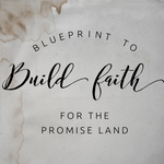 Blueprint to Build Faith for the Promise Land - 8/6/19