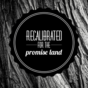 Recalibrated for the Promise Land - 5/17/19