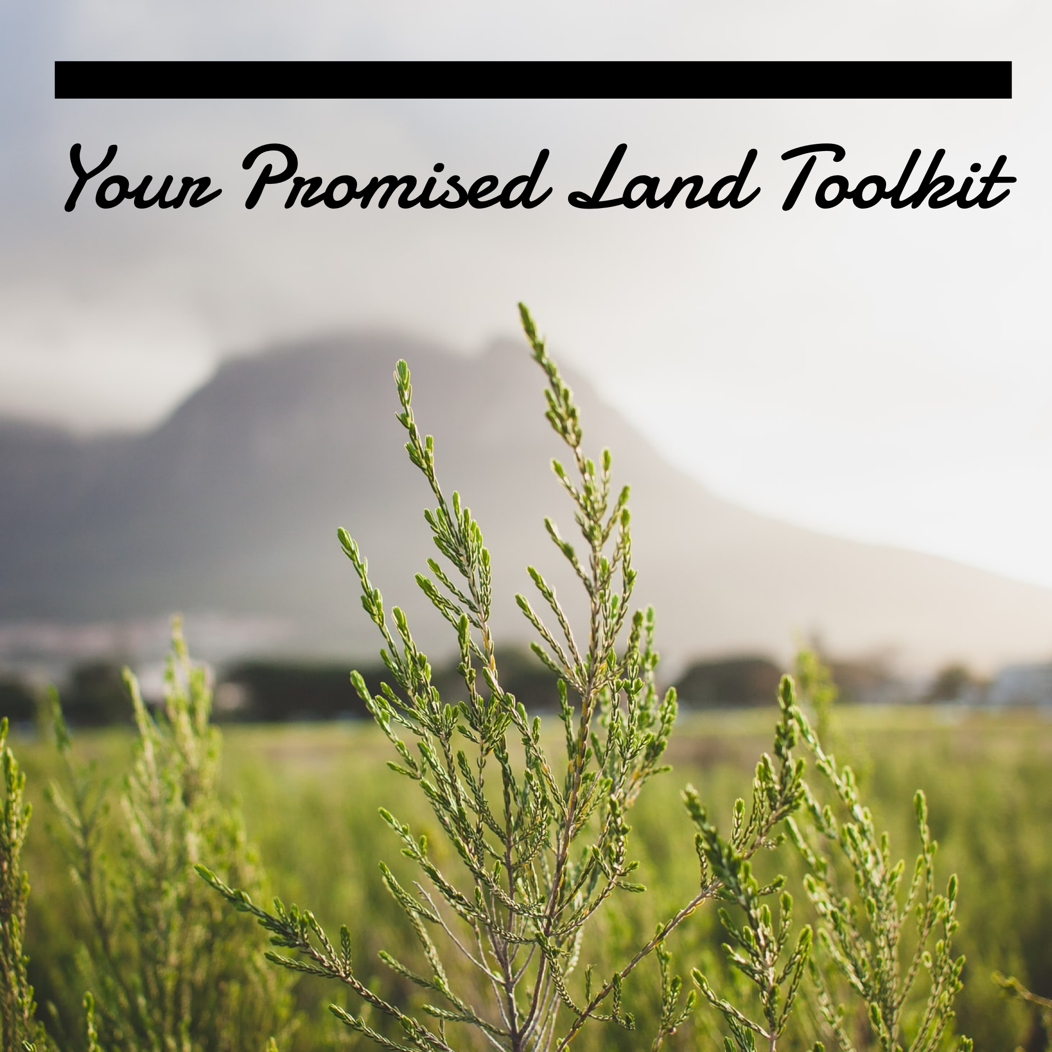 Your Promised Land Toolkit - 8/9/19