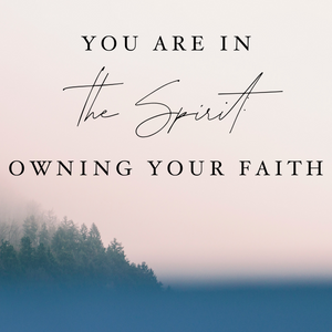 You are In the Spirit: Owning Your Faith - 8/13/19