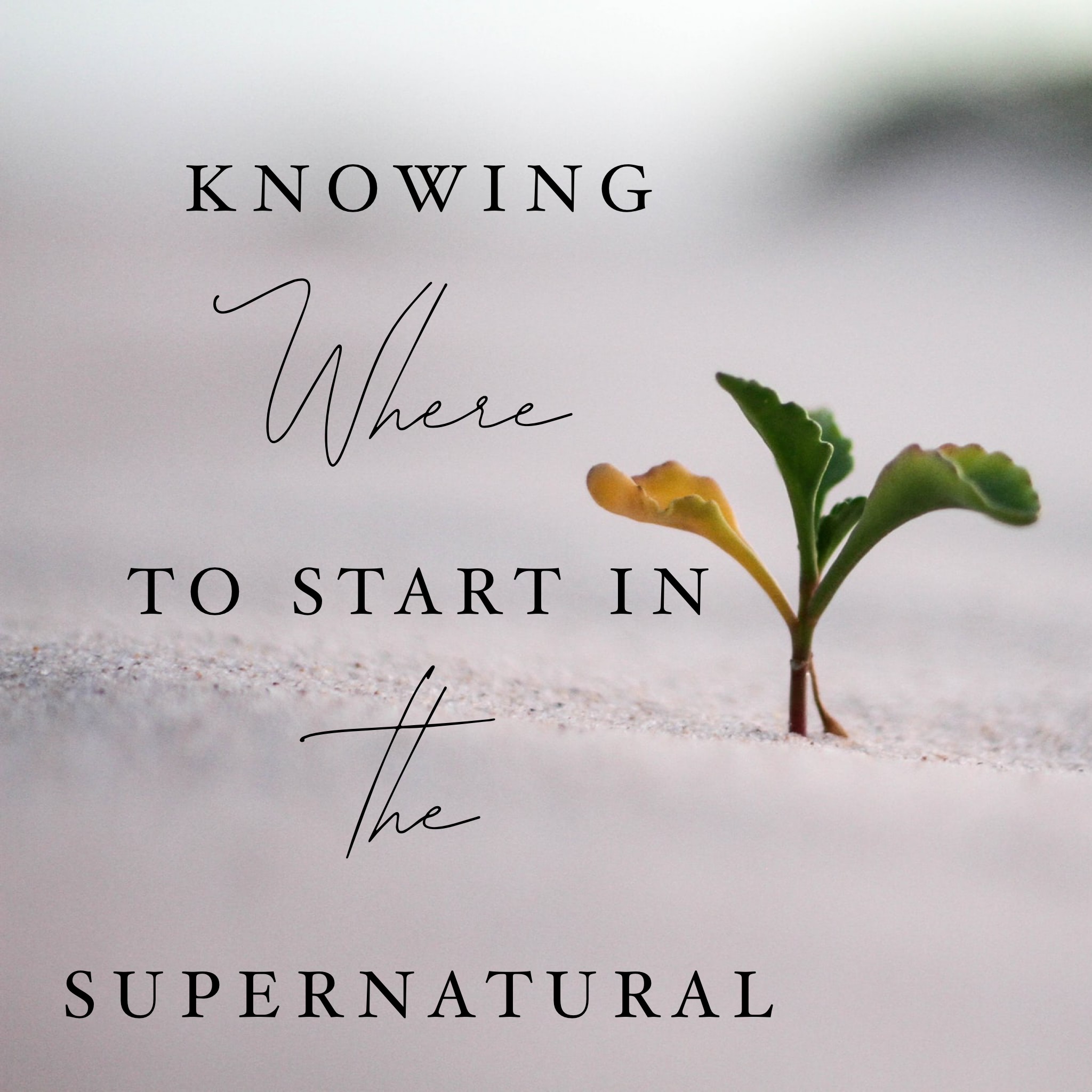 Knowing Where to Start in the Supernatural - 9/13/19