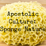 Apostolic Culture: Sponge Nature - 3/29/19