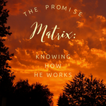 The Promise Matrix: Knowing How He Works - 5/3/19